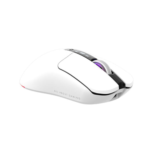 AQIRYS Myszka Dual Mode: Wirelles&BT+Wired M2 white